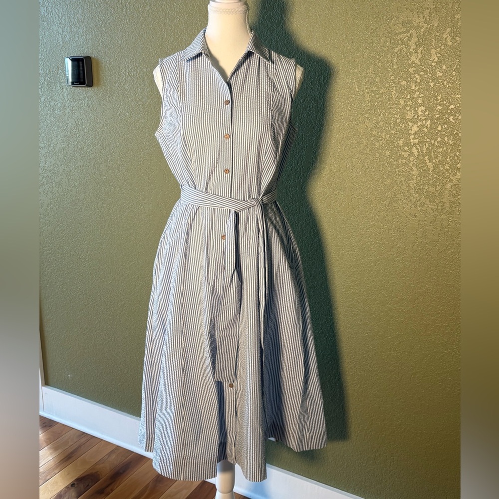 Anne Klein Seersucker Dress Size 4